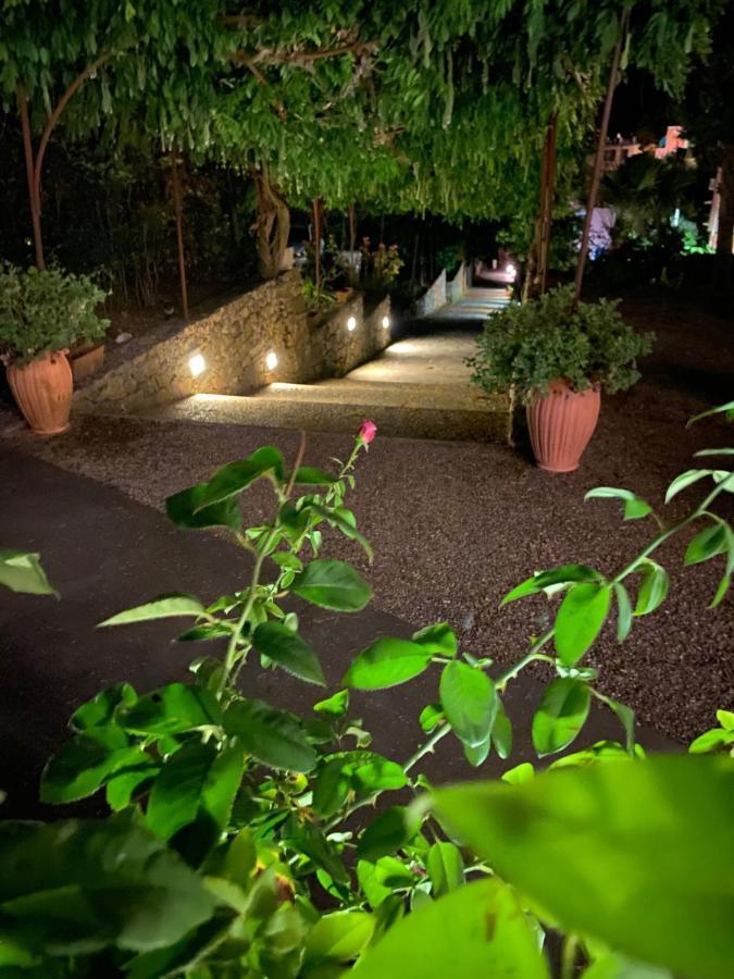 Hotel Accini 3*